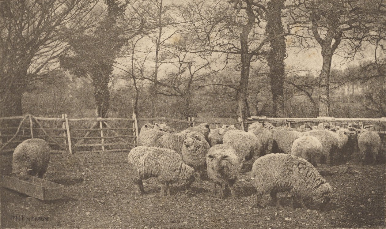 Une pastorale automnale - Peter Henry Emerson