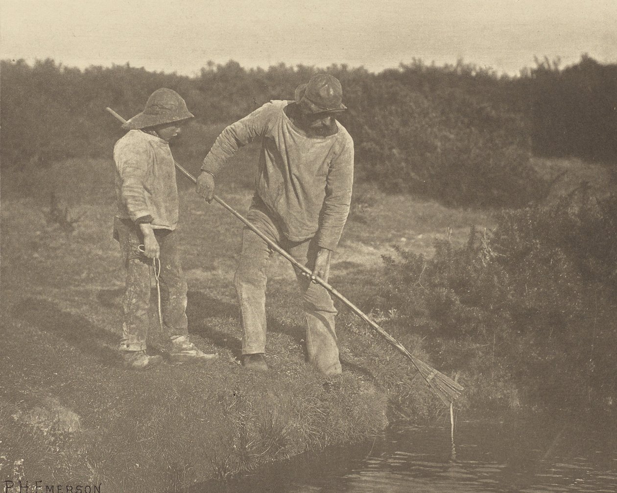 AnguilleCueillette dans les eaux du Suffolk - Peter Henry Emerson