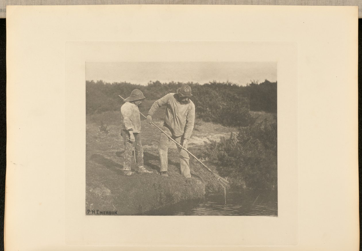 AnguilleCueillette dans les eaux du Suffolk - Peter Henry Emerson