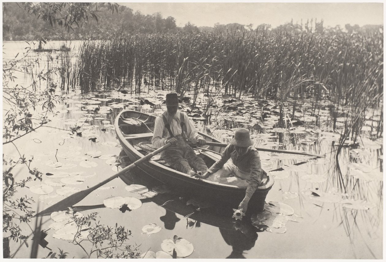 Cueillette de nénuphars - Peter Henry Emerson