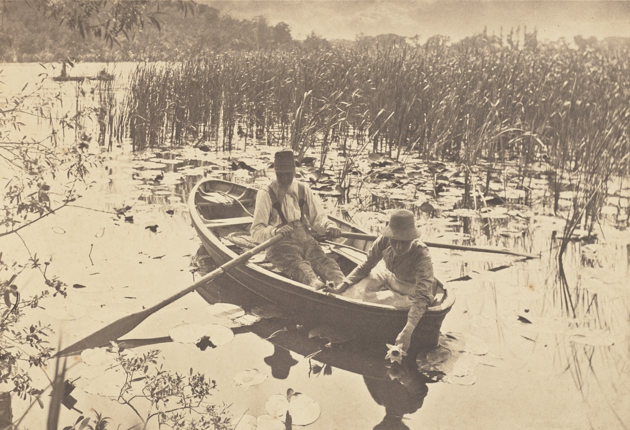 Cueillette de nénuphars - Peter Henry Emerson