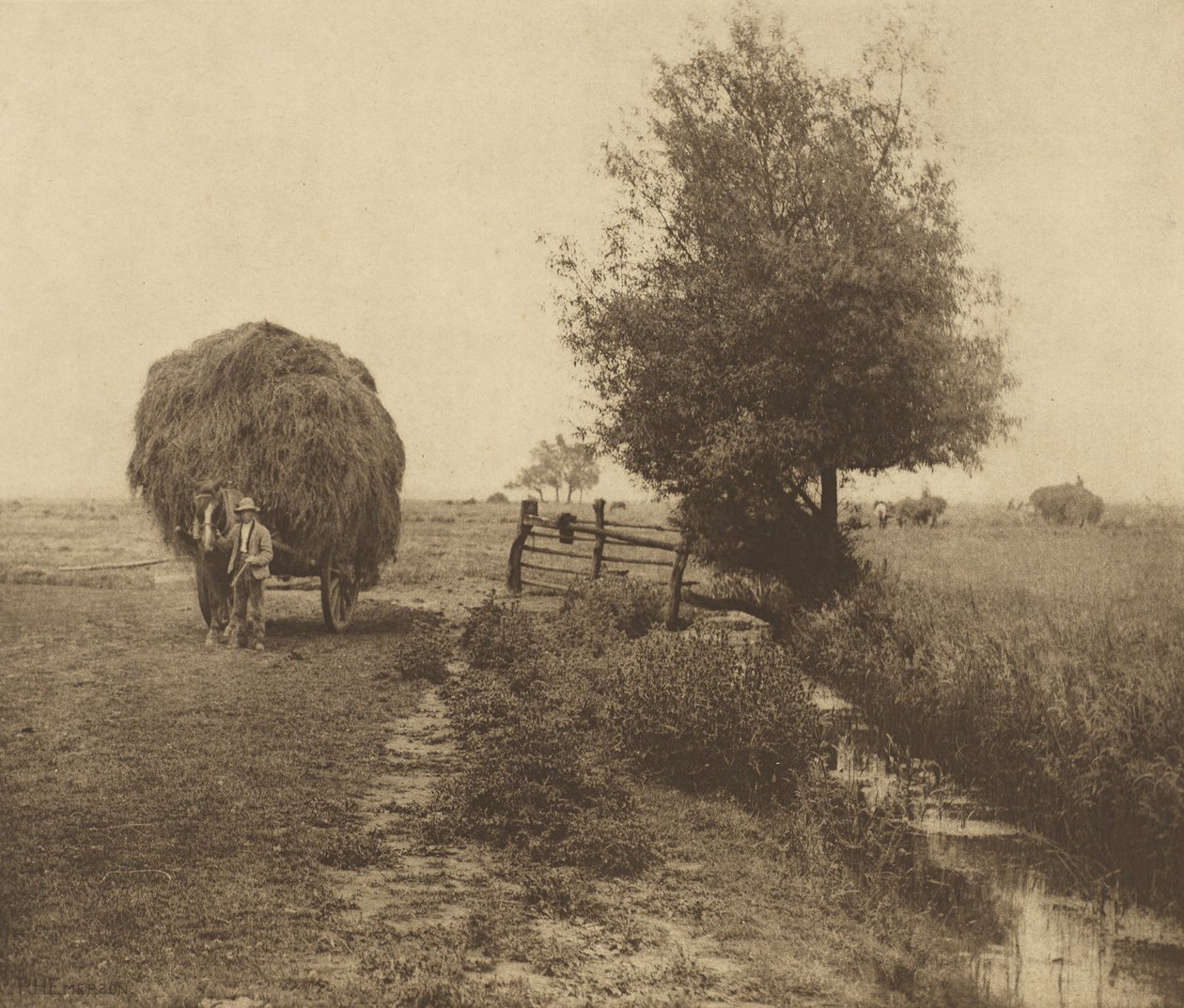 Dans le champ de foin. [Norfolk.] - Peter Henry Emerson