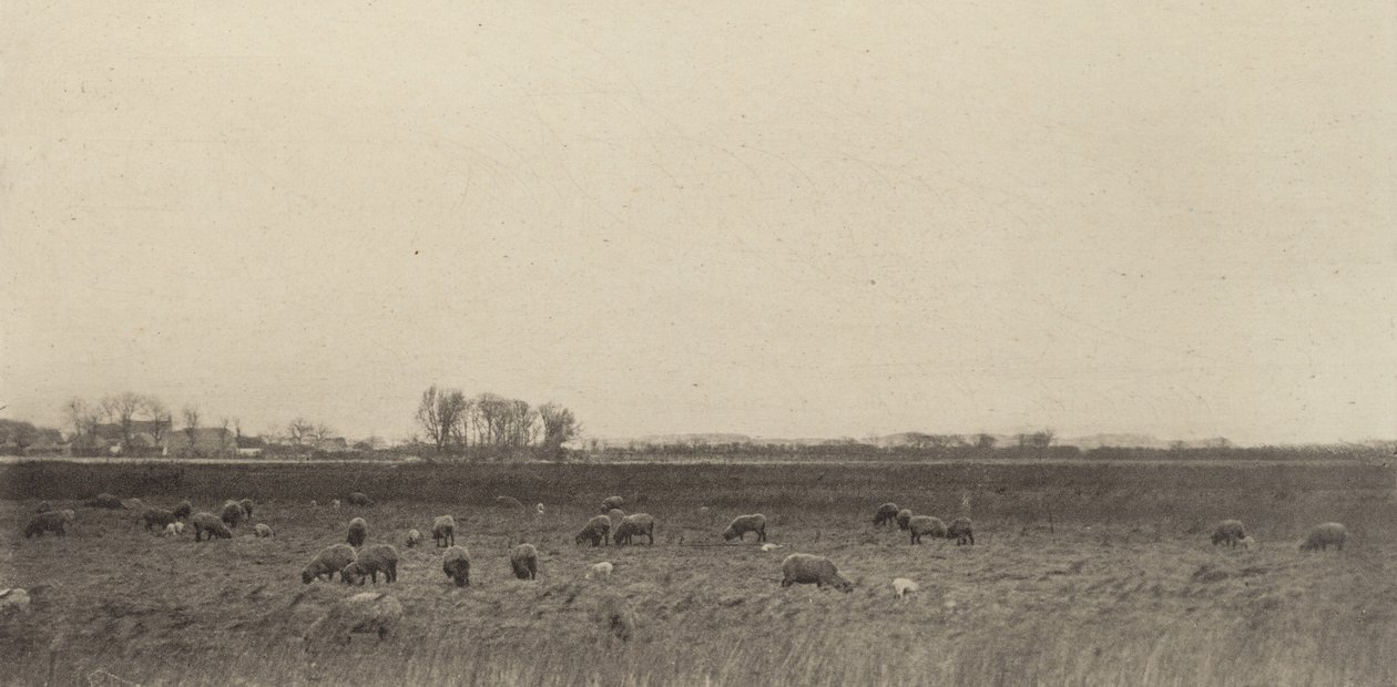 Marais près de la mer du Nord, 1890-1891, imprimé en 1893 - Peter Henry Emerson