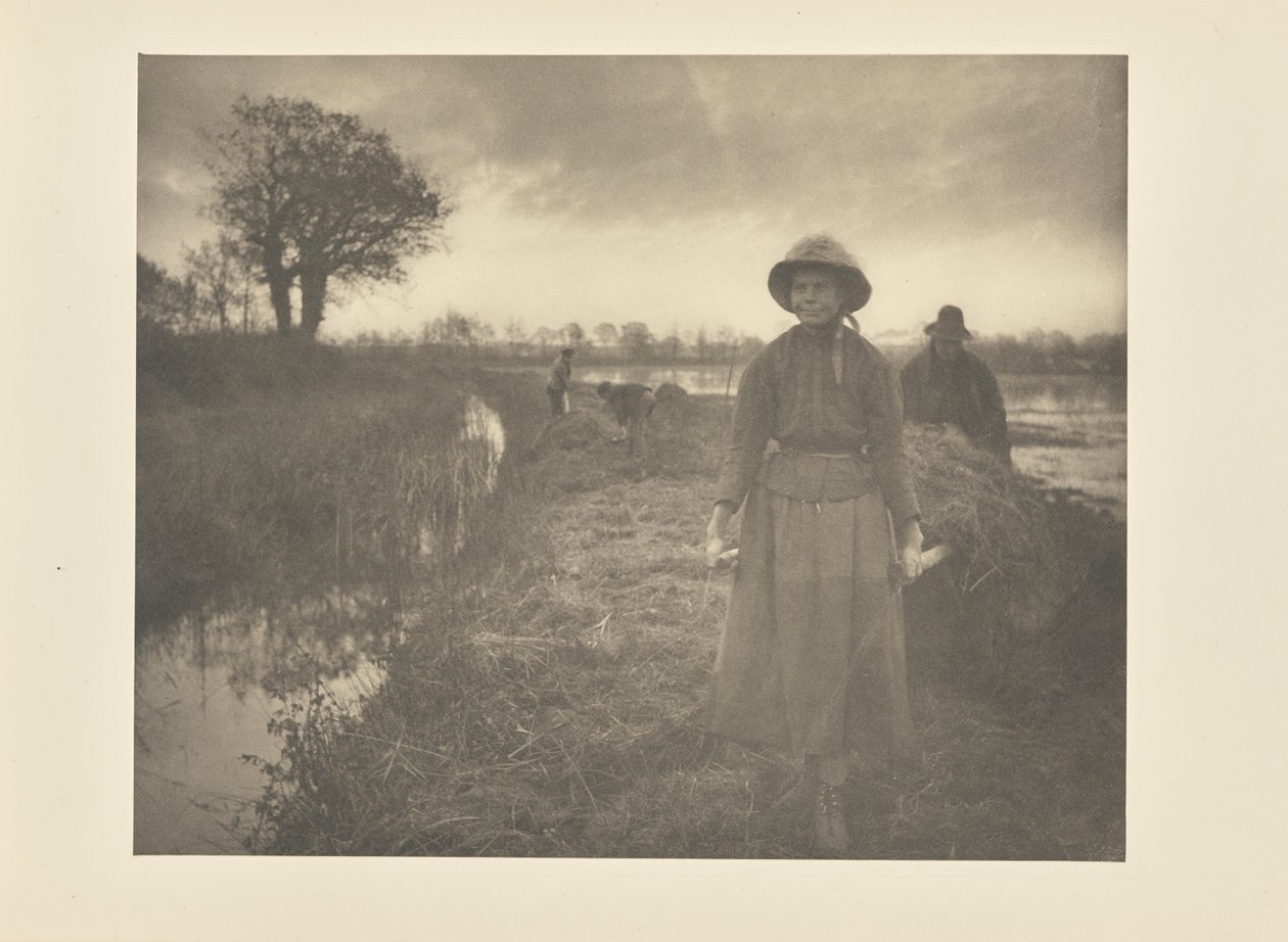 Récolte du foin dans le marais - Peter Henry Emerson