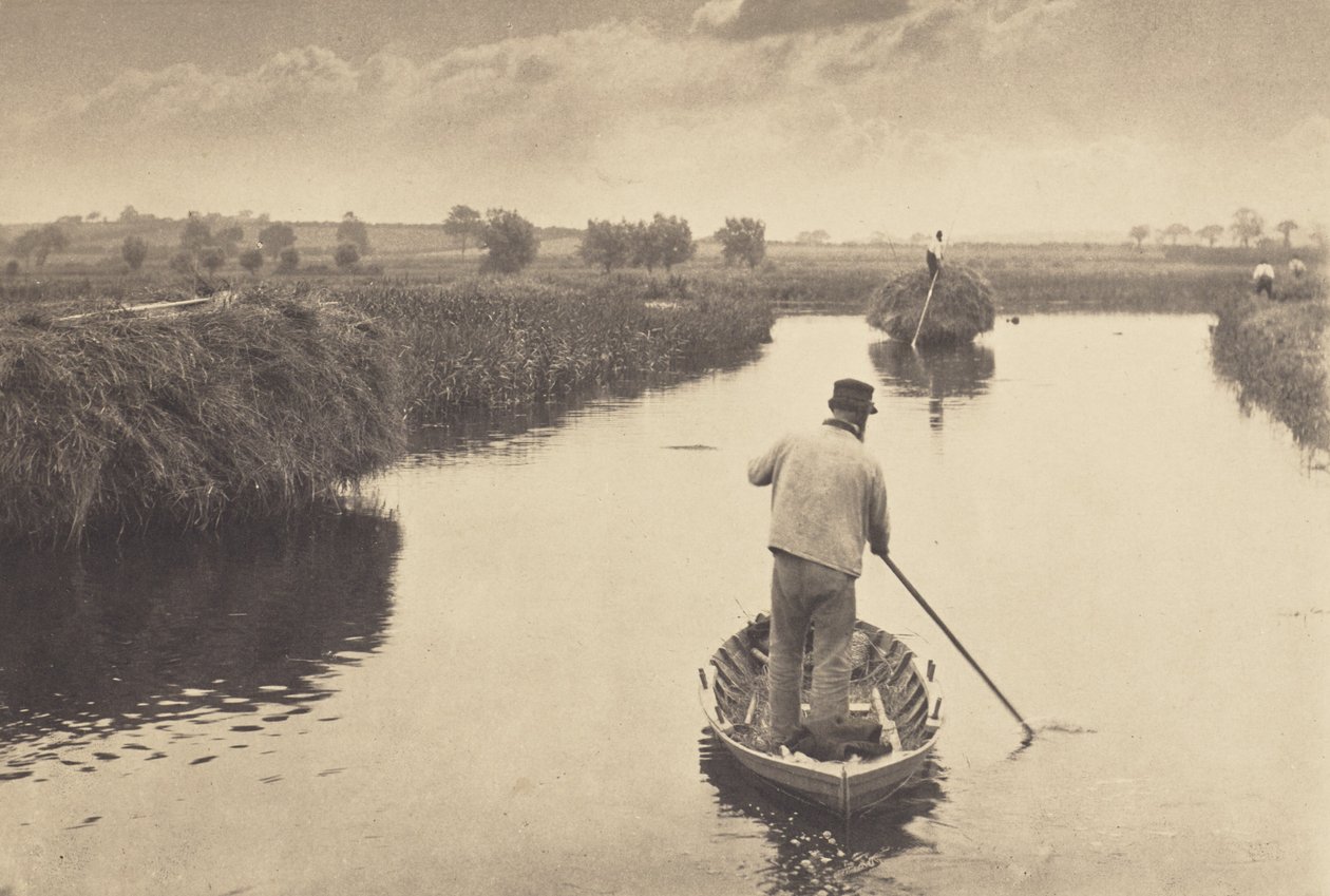Quantification du foin des marais - Peter Henry Emerson
