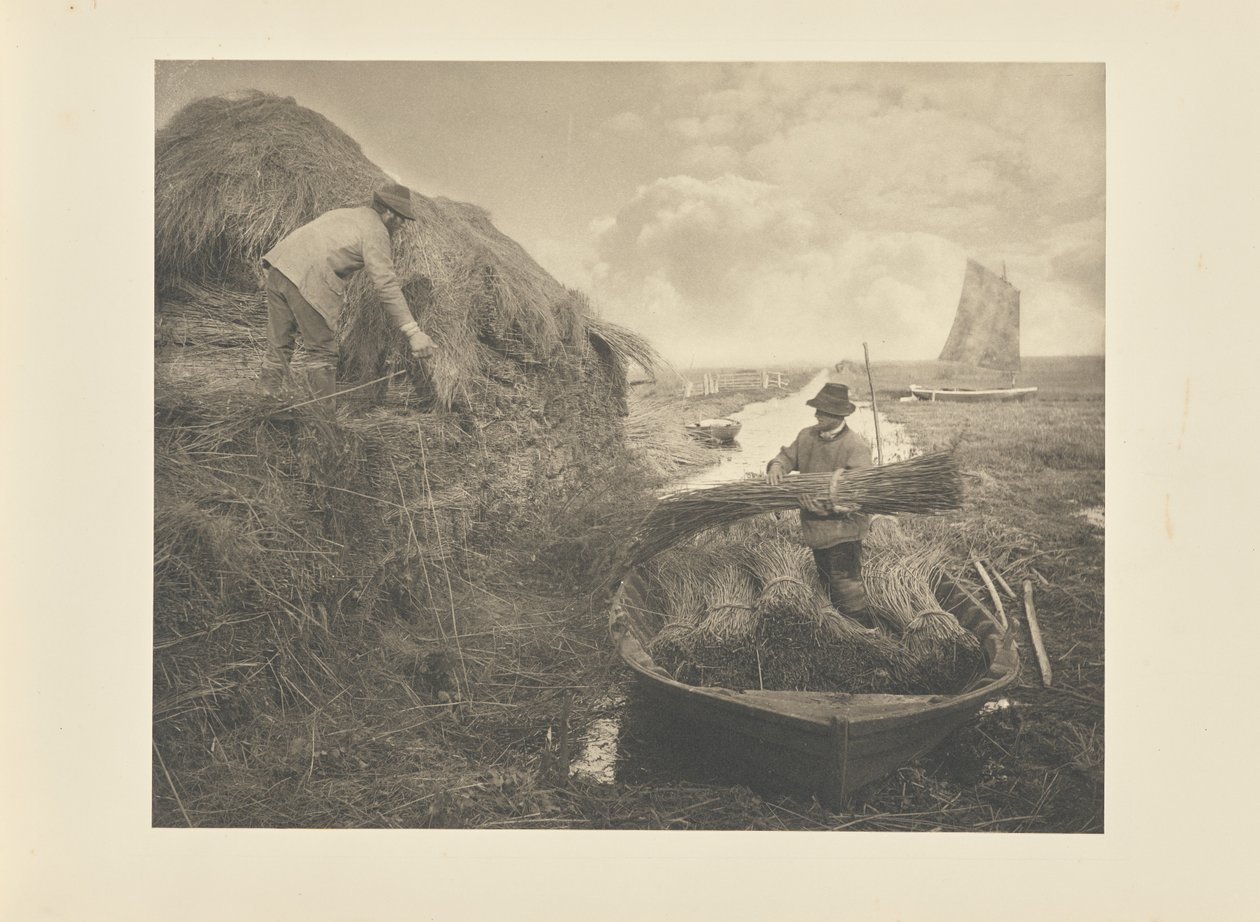 Mise en meules des roseaux - Peter Henry Emerson