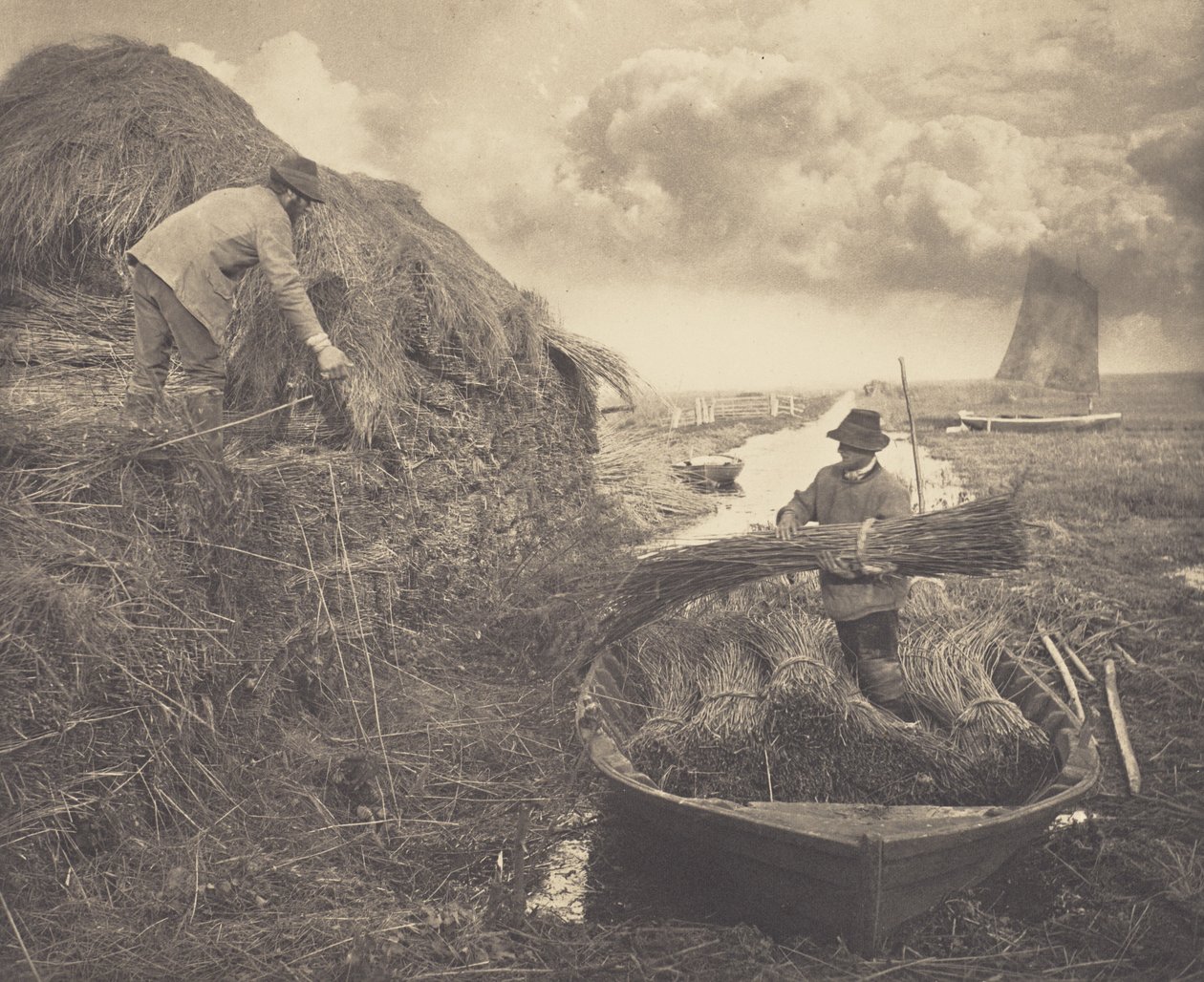 Mise en meule des roseaux - Peter Henry Emerson