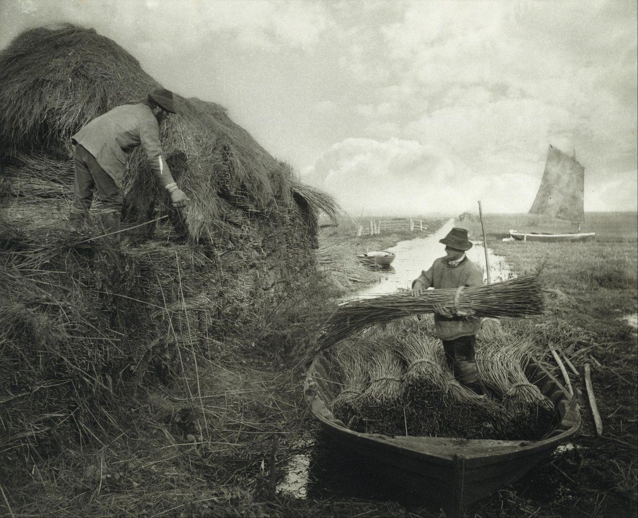 Mise en meules des roseaux - Peter Henry Emerson