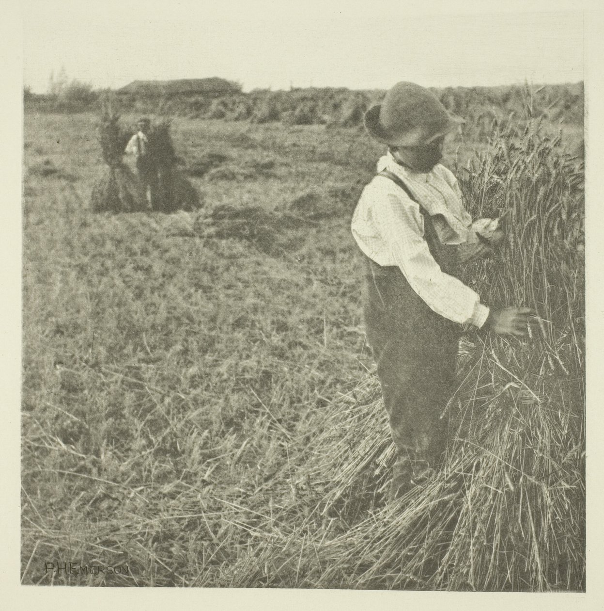 Choc de maïs (Norfolk) - Peter Henry Emerson