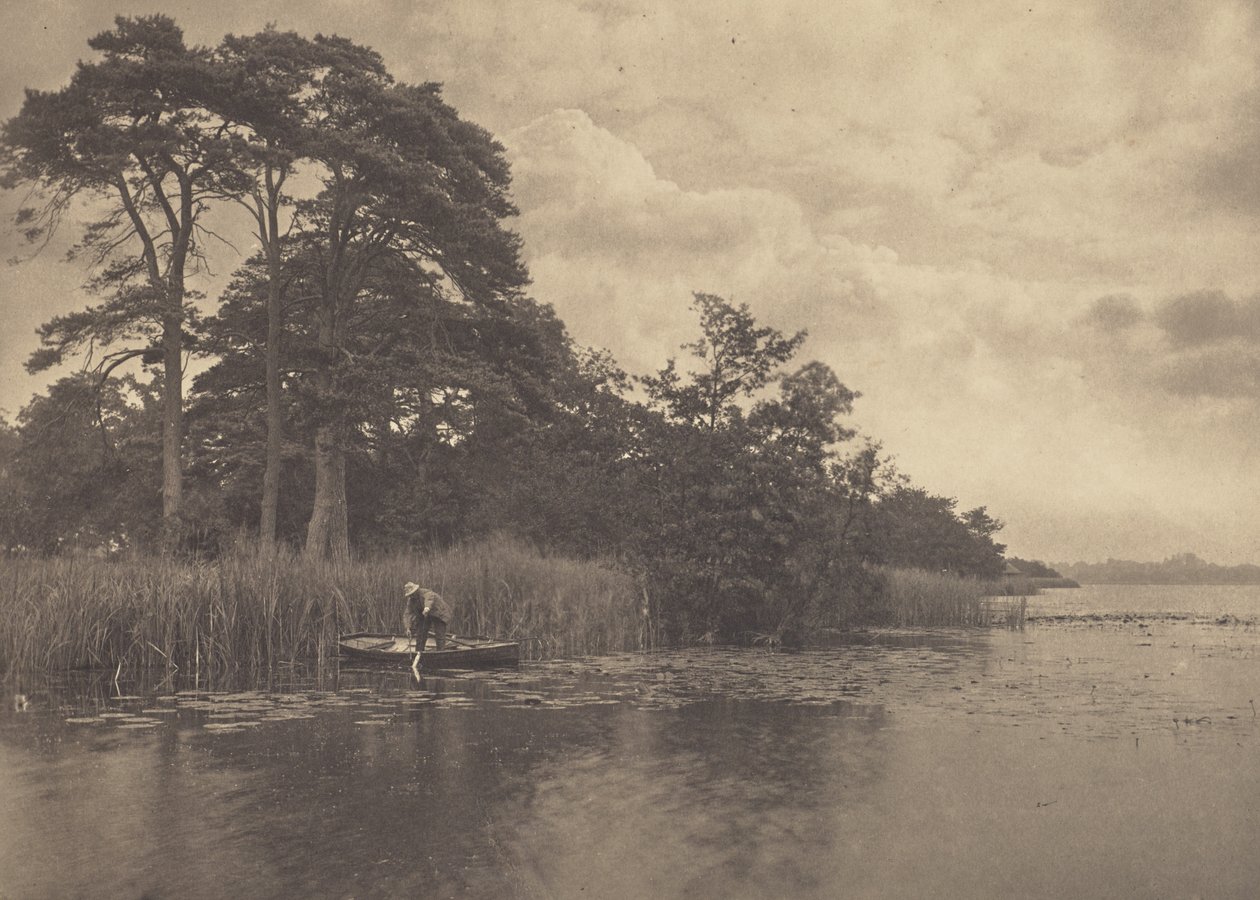 Le repaire du brochet - Peter Henry Emerson