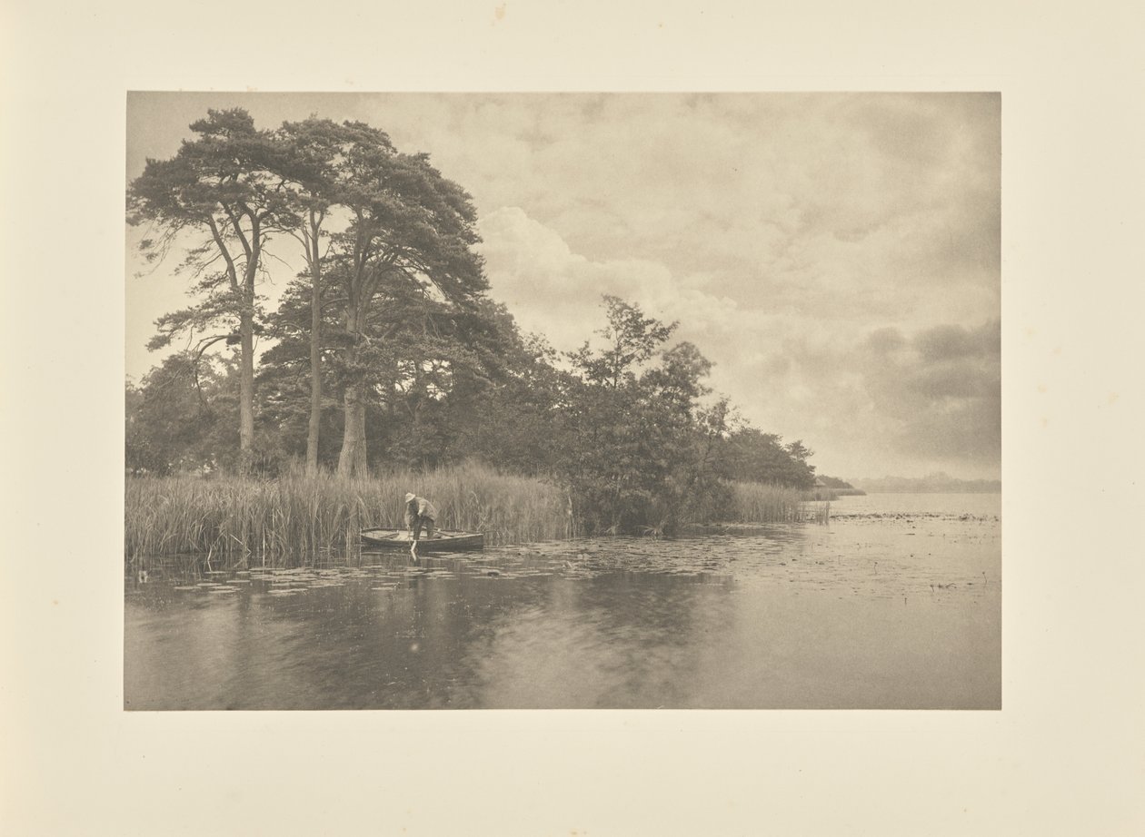 Le repaire du brochet - Peter Henry Emerson