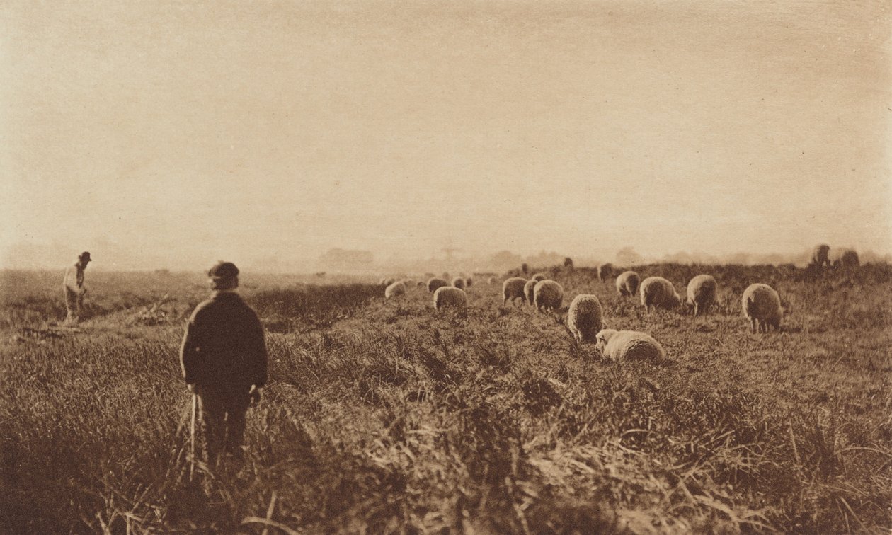Les marais en juin - Peter Henry Emerson