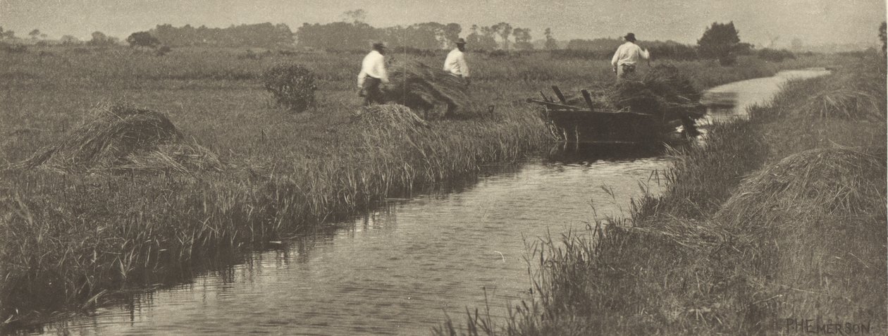 La récolte des joncs - Peter Henry Emerson
