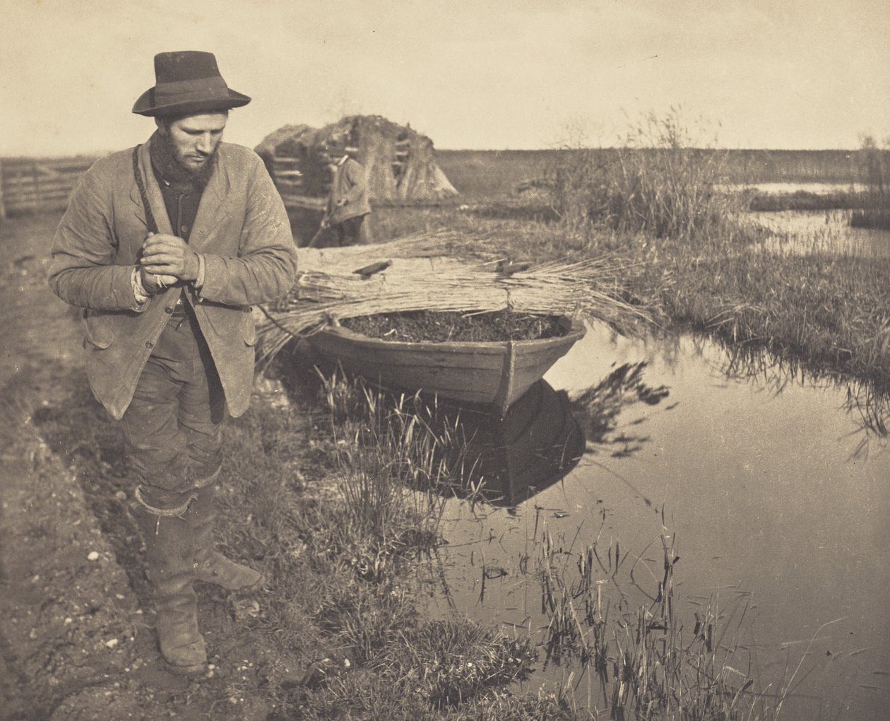 Remorquage des roseaux - Peter Henry Emerson
