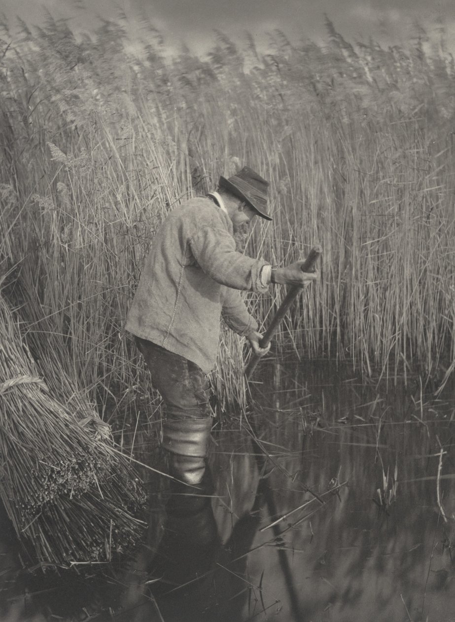 Un coupeur de roseaux au travail - Peter Henry Emerson and T.F. Goodall