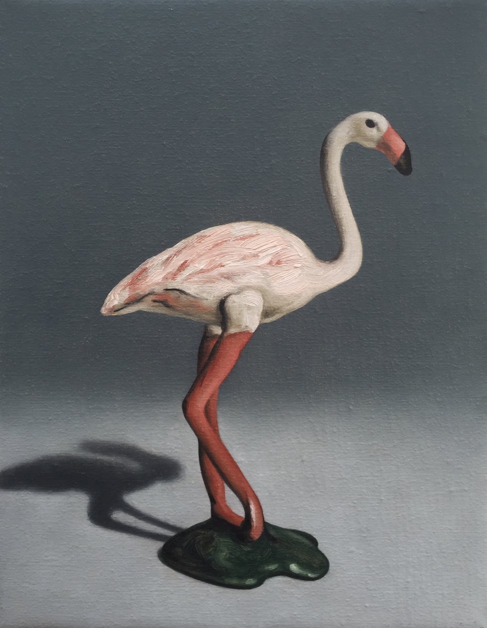 Flamant rose - Peter Jones
