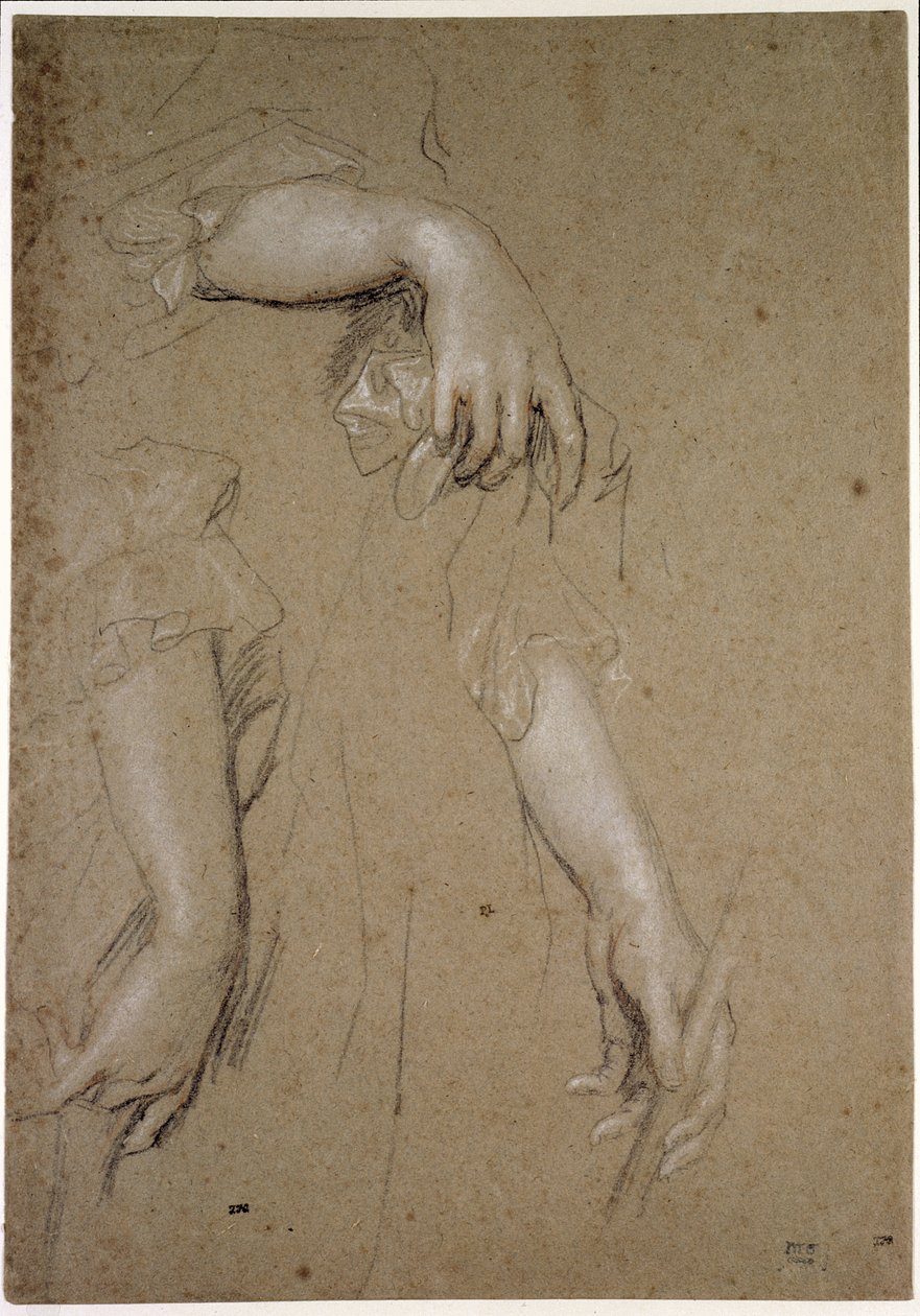 Études de mains, 17ème siècle - Peter Lely