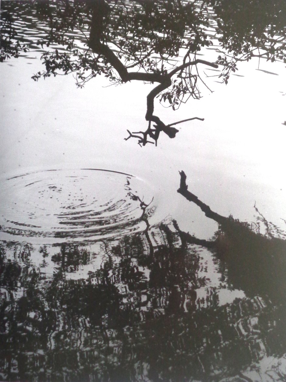 PHOTO N&B VINTAGE No.5, 1986 - Peter McClure
