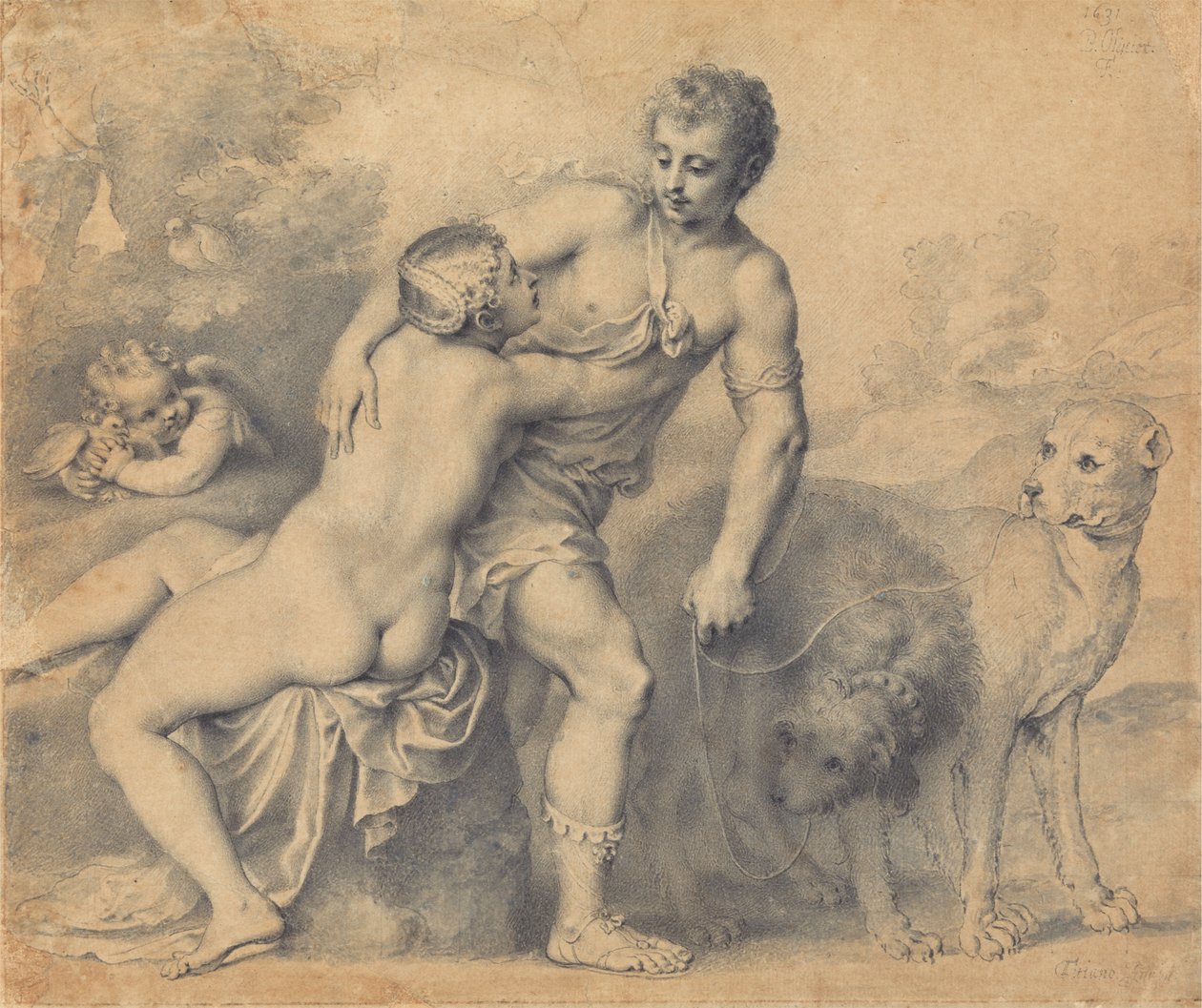 Vénus et Adonis - Peter Oliver