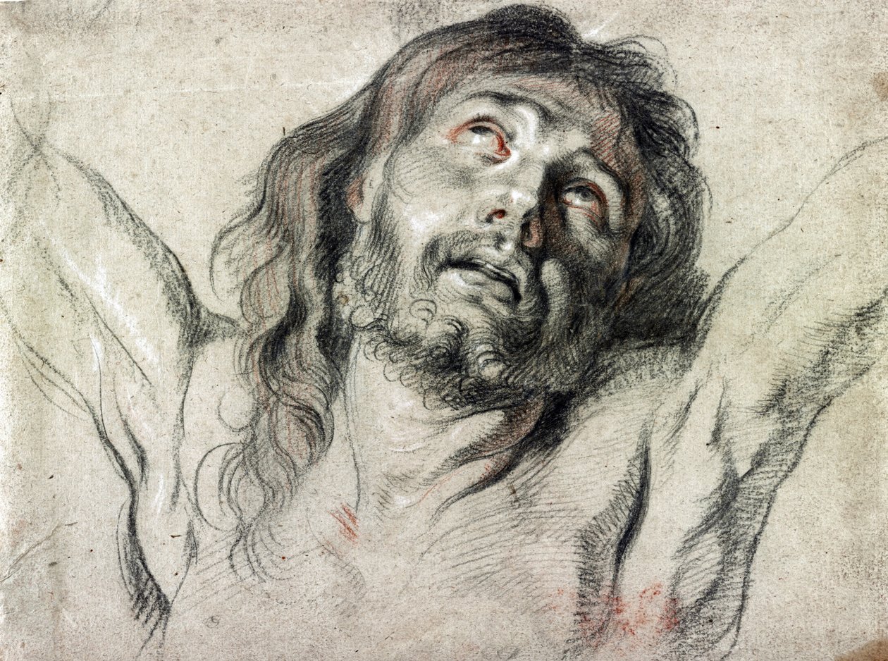 Tête du Christ sur la croix par Peter Paul Rubens (dessin) - Peter Paul Rubens