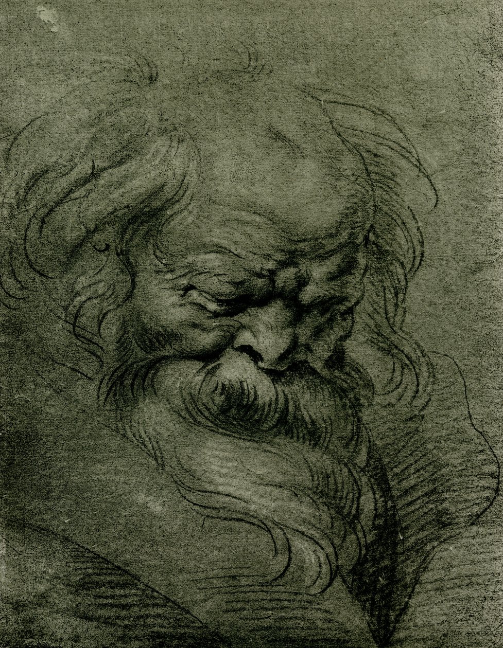 Étude de tête pour Bacchus - Peter Paul Rubens