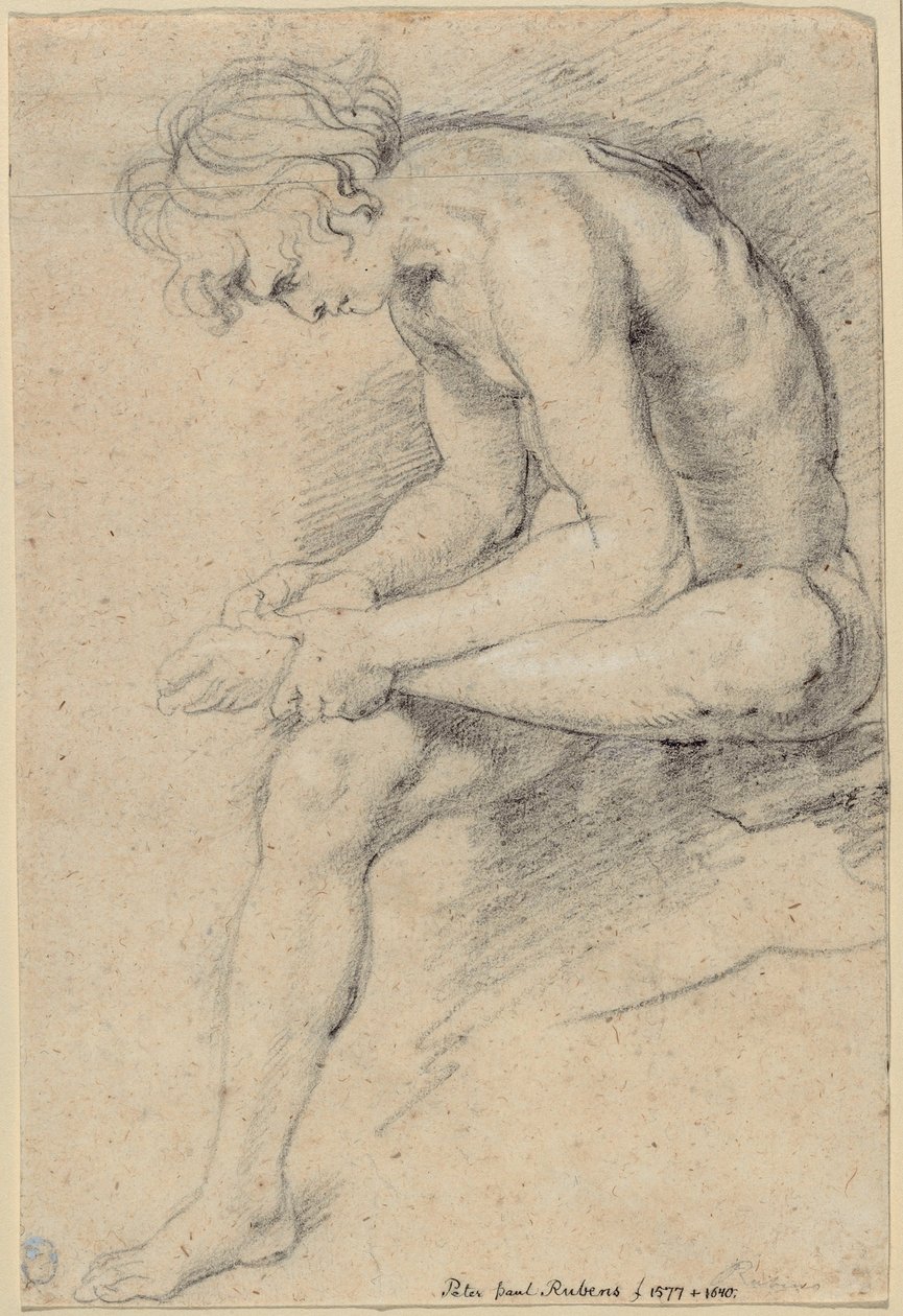 Jeune homme nu dans la pose du Spinario - Peter Paul Rubens