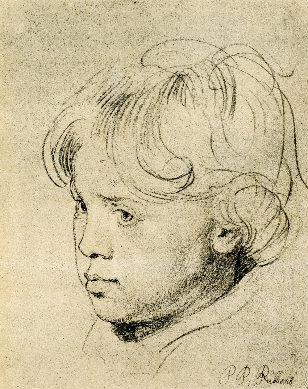 Niklas, fils de Rubens | Peter Paul Rubens | Estampe d'art