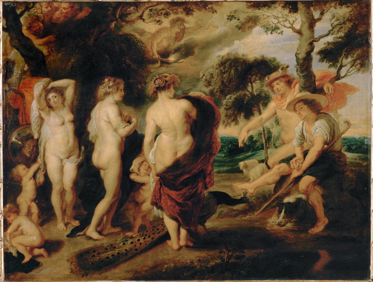 Le jugement de Paris (peinture sur bois de chêne) - Peter Paul Rubens