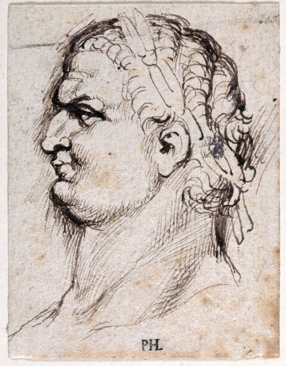 Titus, d