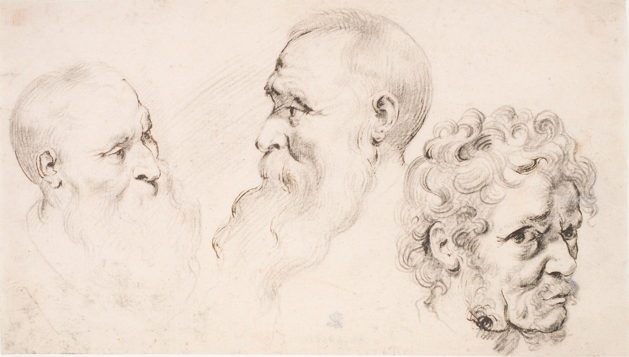Trois têtes d