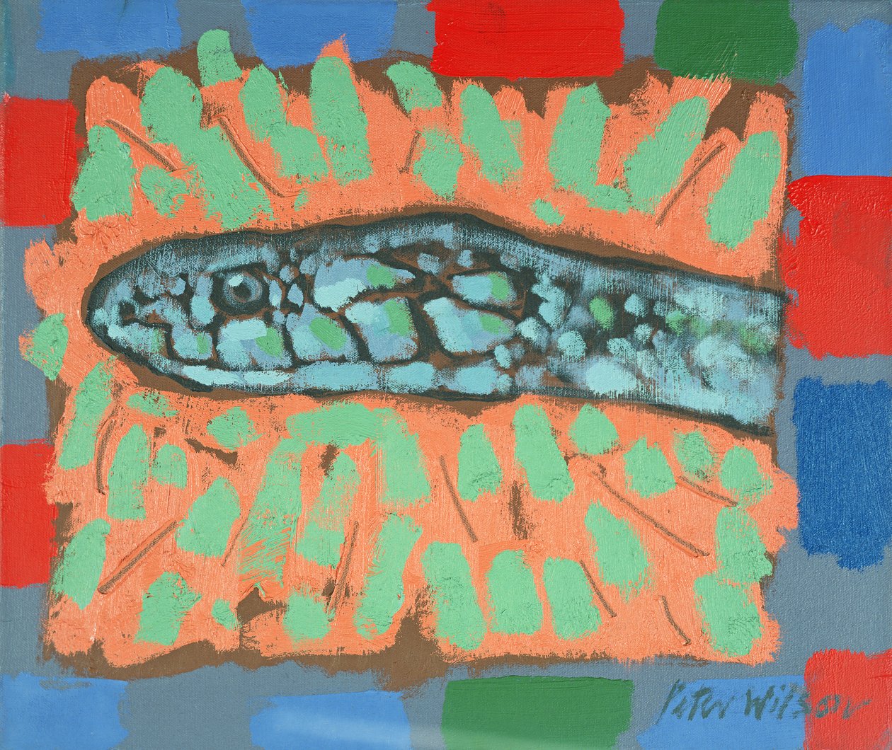 Tête de serpent - Peter Wilson