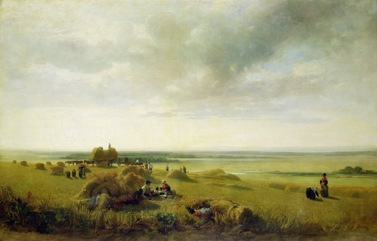 Un champ de maïs - Peter de Wint