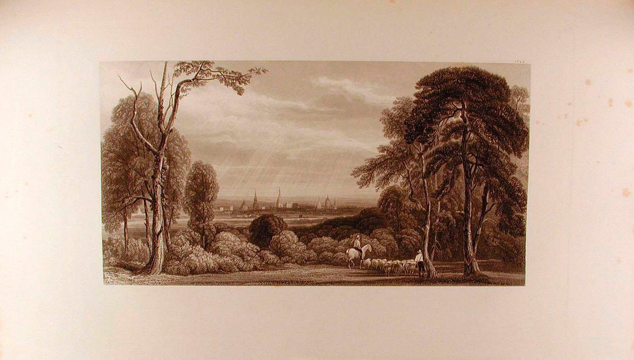 Vue d