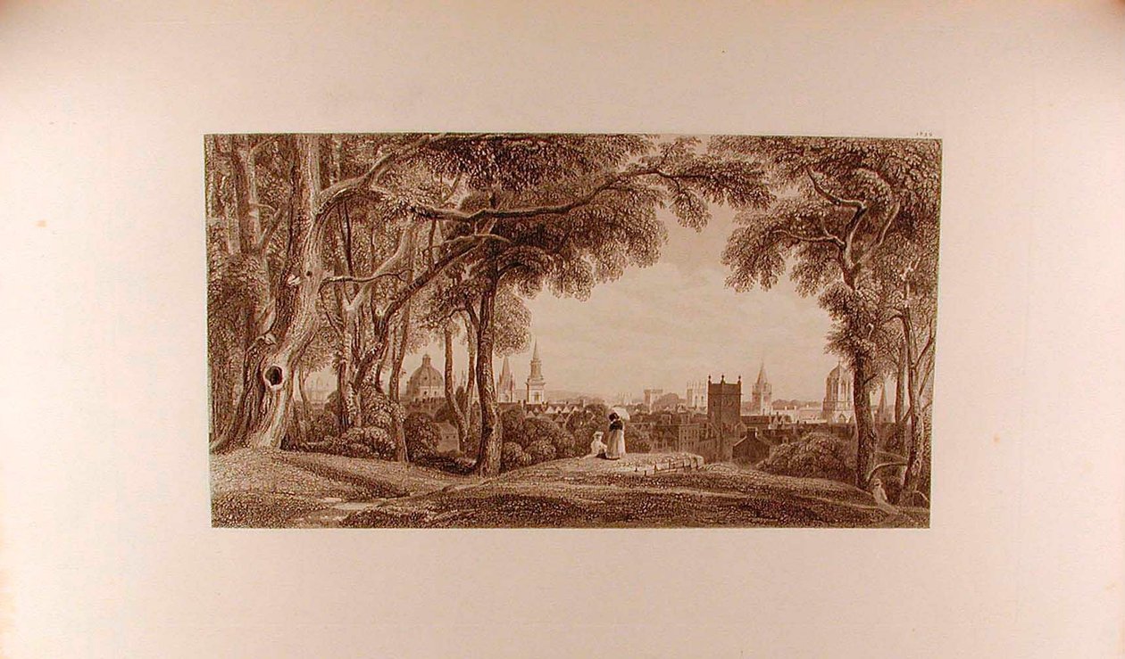 Vue d