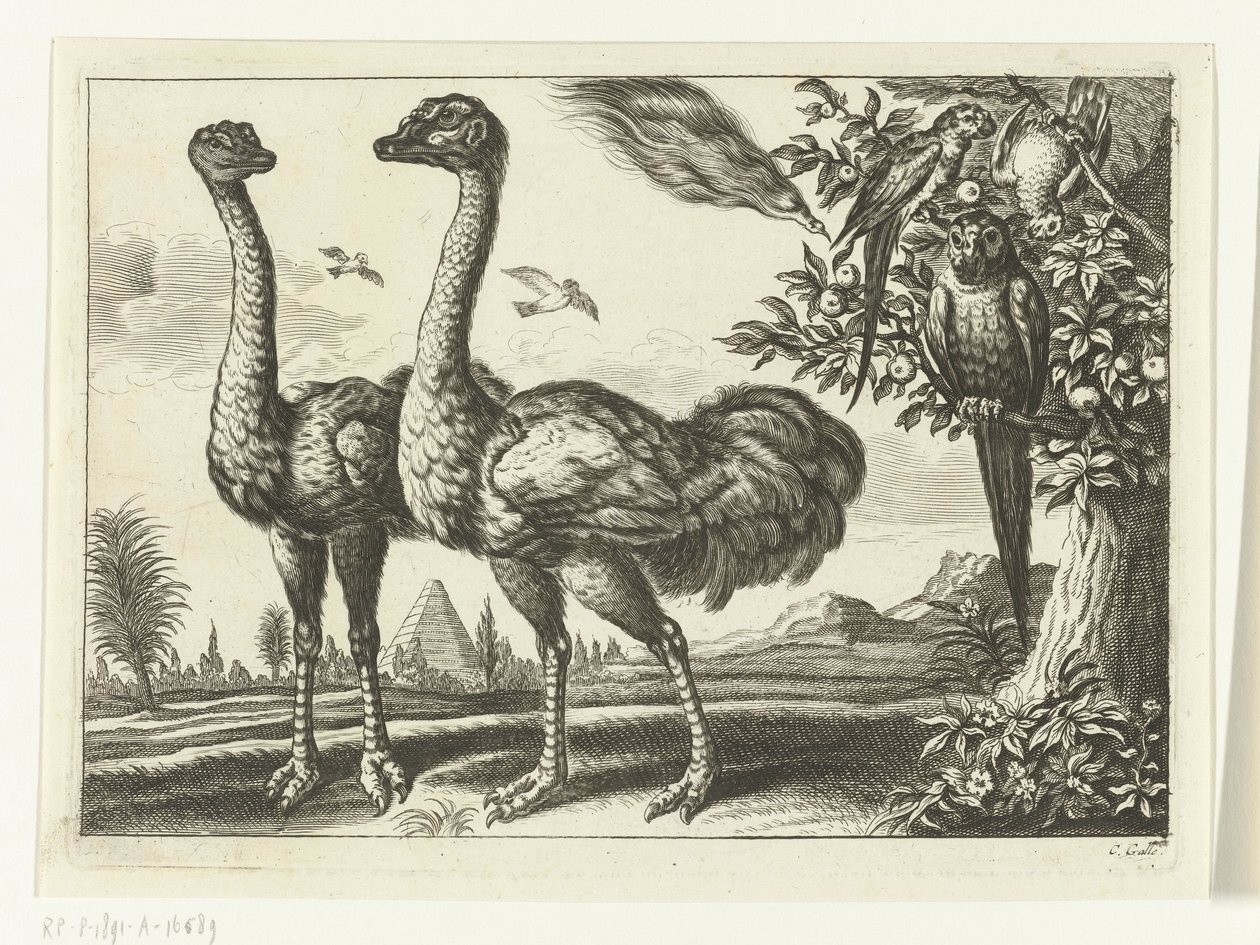 Deux autruches - Peter van Liesebetten