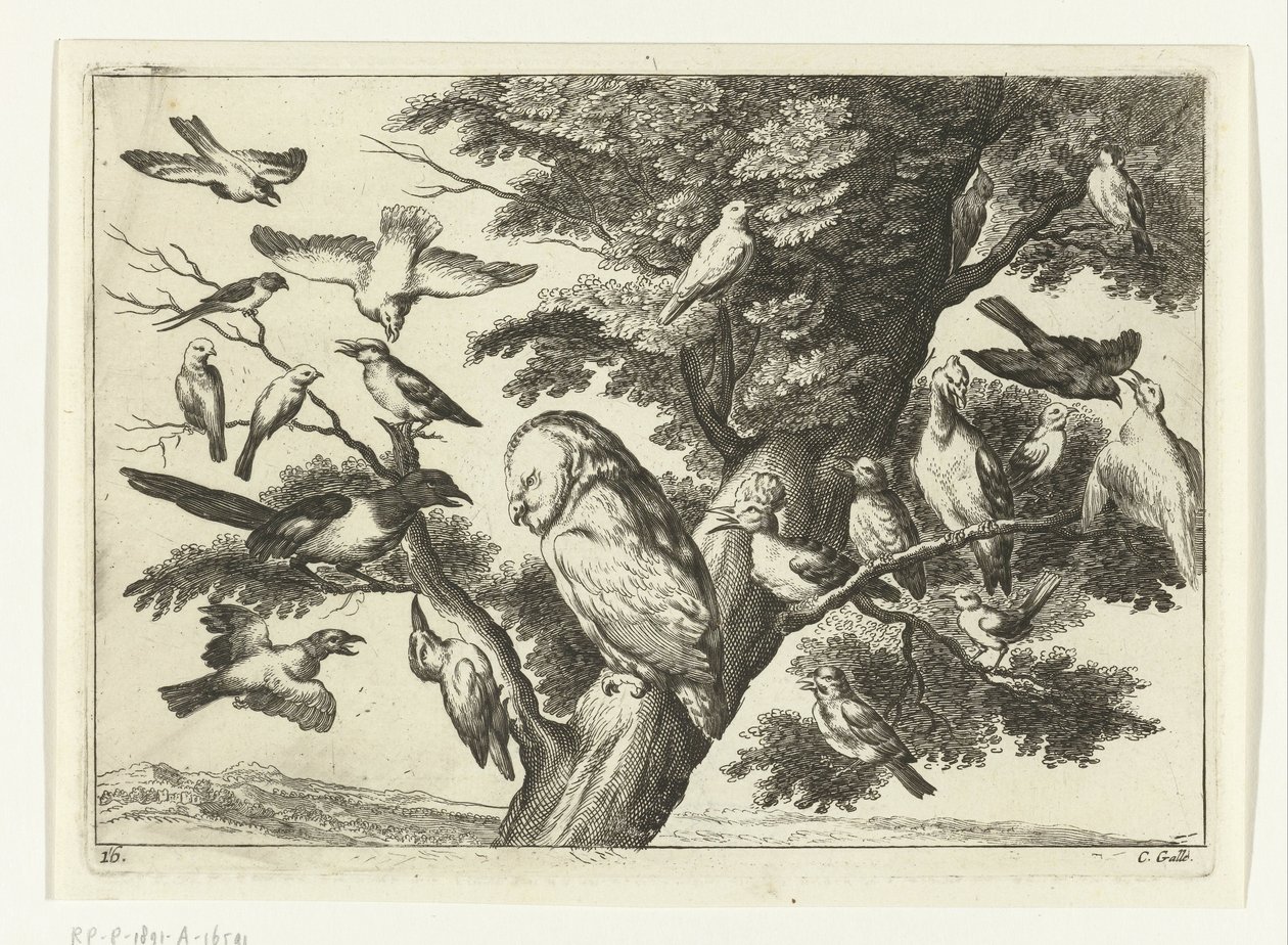 Oiseaux dans un arbre (Diversarum avium species, Verschillende vogels) - Peter van Liesebetten
