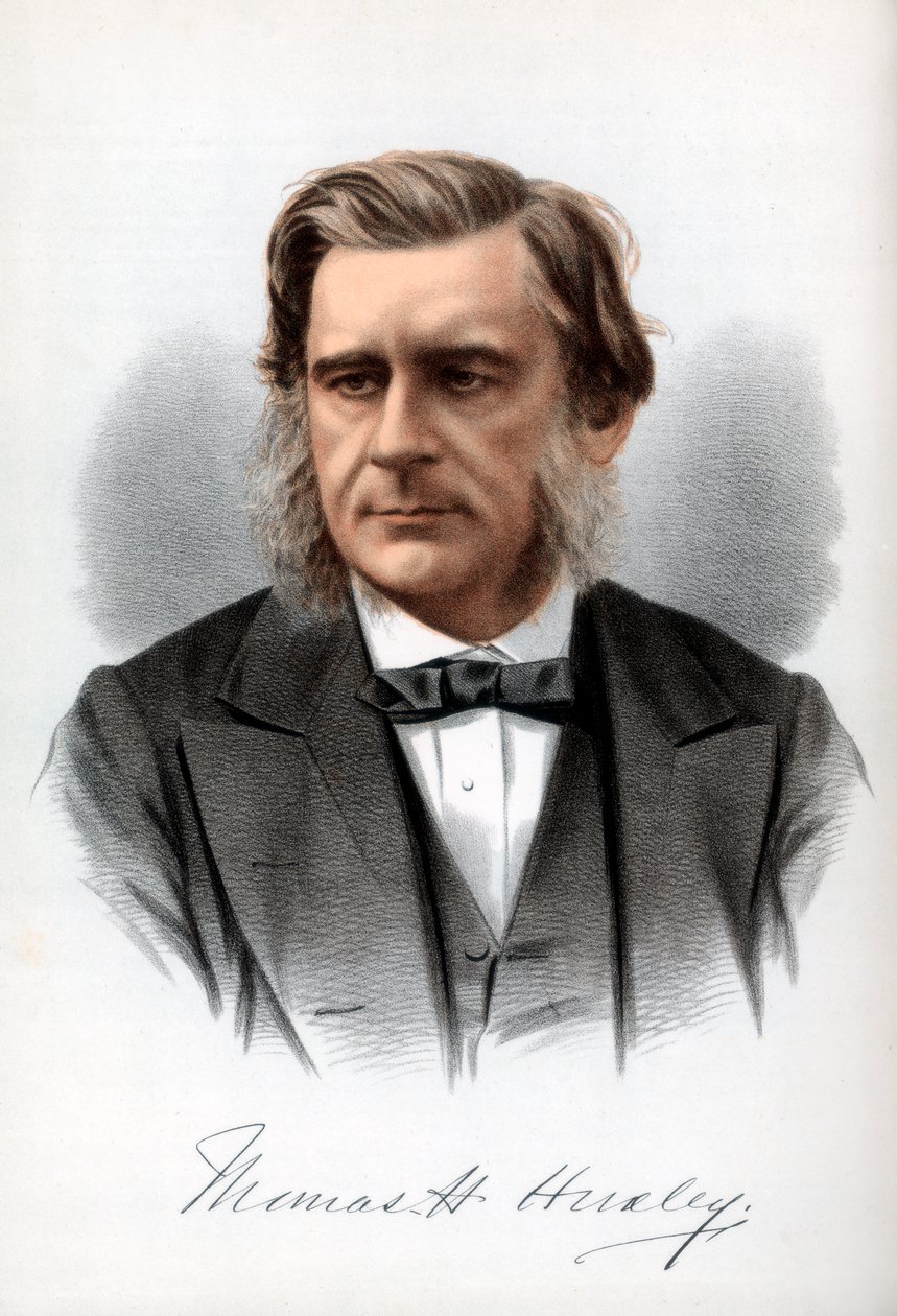 Thomas Henry Huxley, biologiste anglais, c1890 - Petter and Galpin Cassell