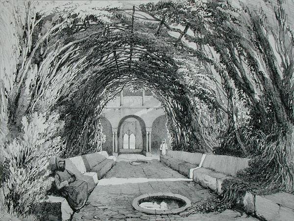 Bassins dans le jardin du couvent de San Domingo, Alhambra, planche 6 de 