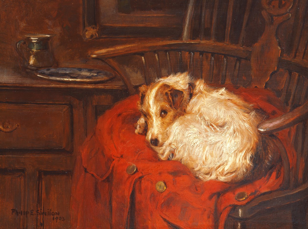 Une chaise favorite, 1903 - Philip Eustace Stretton