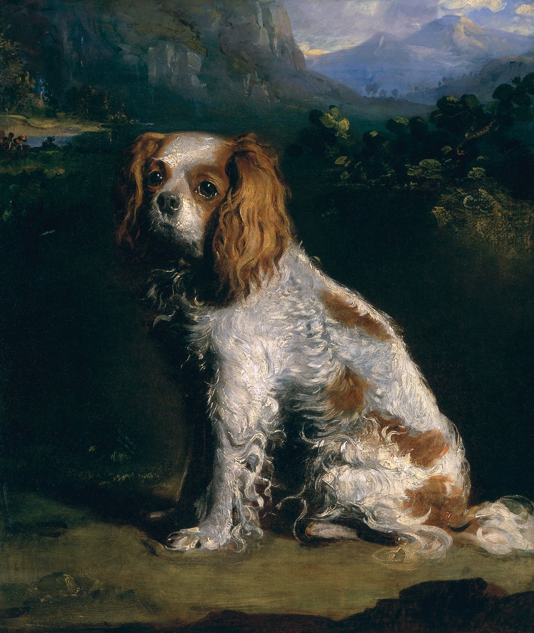 Un épagneul King Charles - Philip Reinagle
