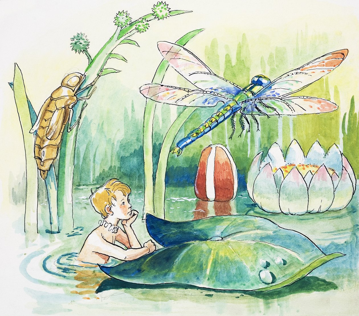 Libellule, illustration tirée de "The Water Babies" de Charles Kingsley - Philip Mendoza