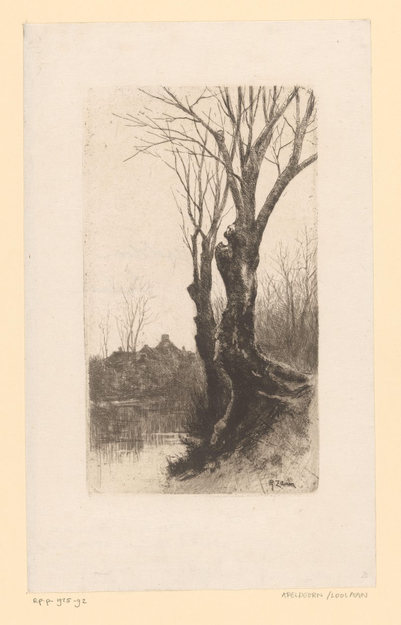 Vue de la Loolaan, près de La Haye - Philip Zilcken
