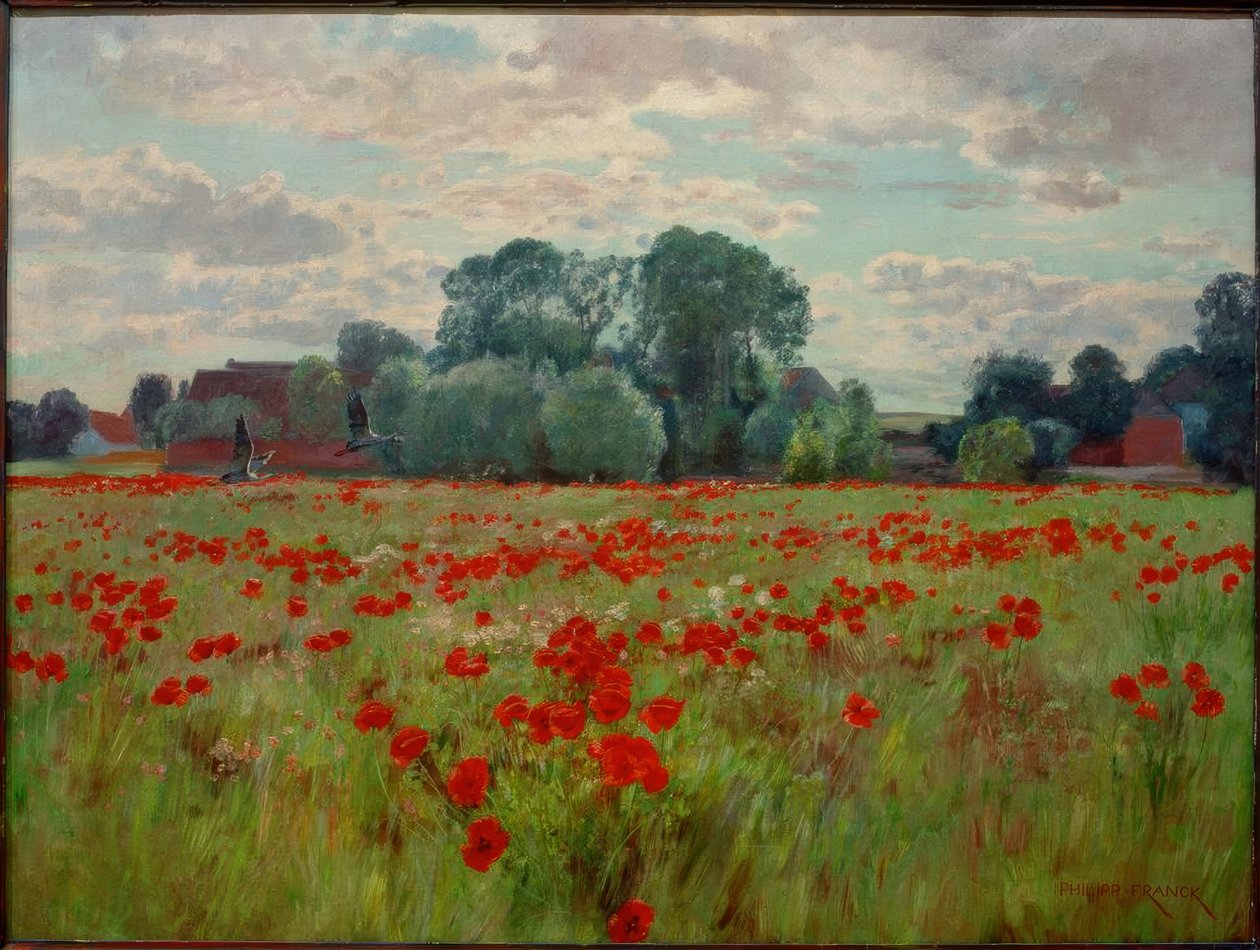 Prairie aux oies - Philipp Franck