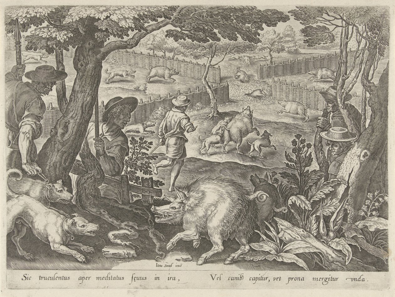 Chasse au sanglier - Philips Galle