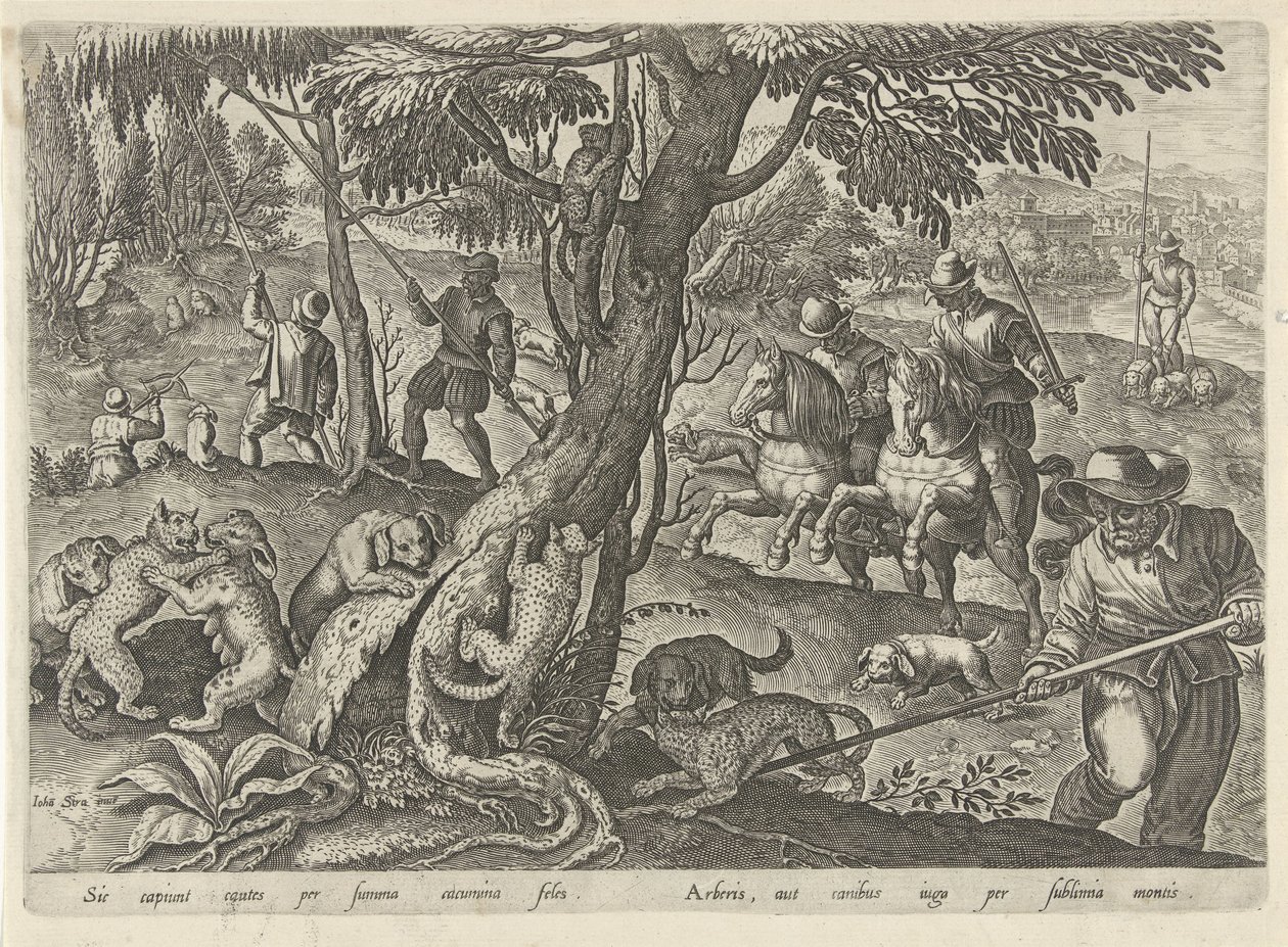 Chasse aux chats sauvages - Philips Galle