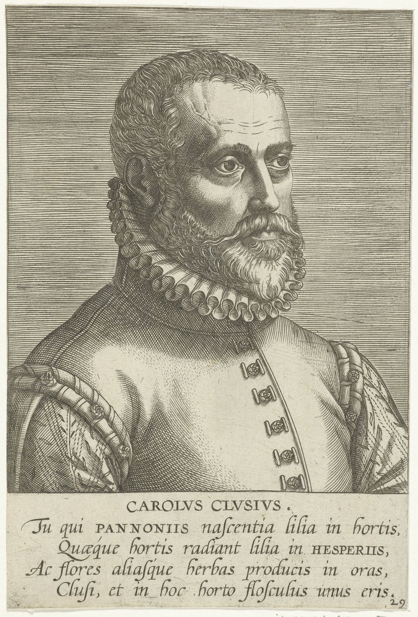 Portrait de Carolus Clusius - Philips Galle