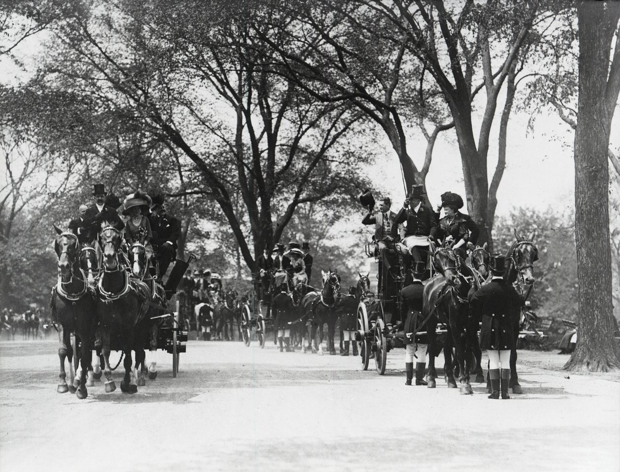Coaching, Central Park - Photographer American