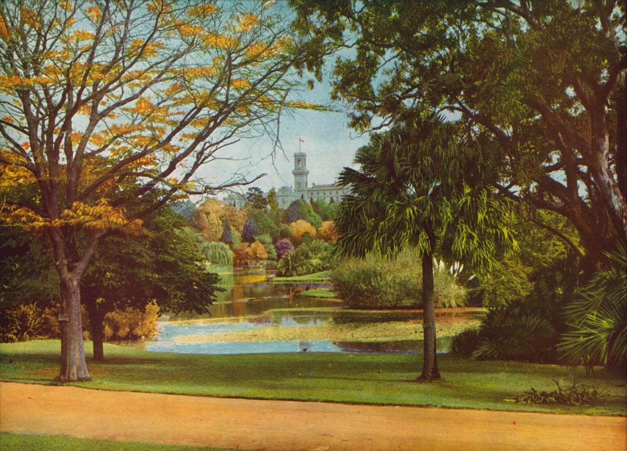  - Photographer Australian