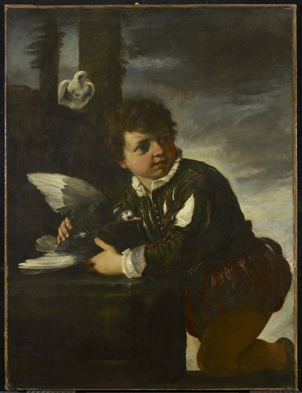 Garçon avec une colombe, vers 1650-55 - Pier Francesco Mola