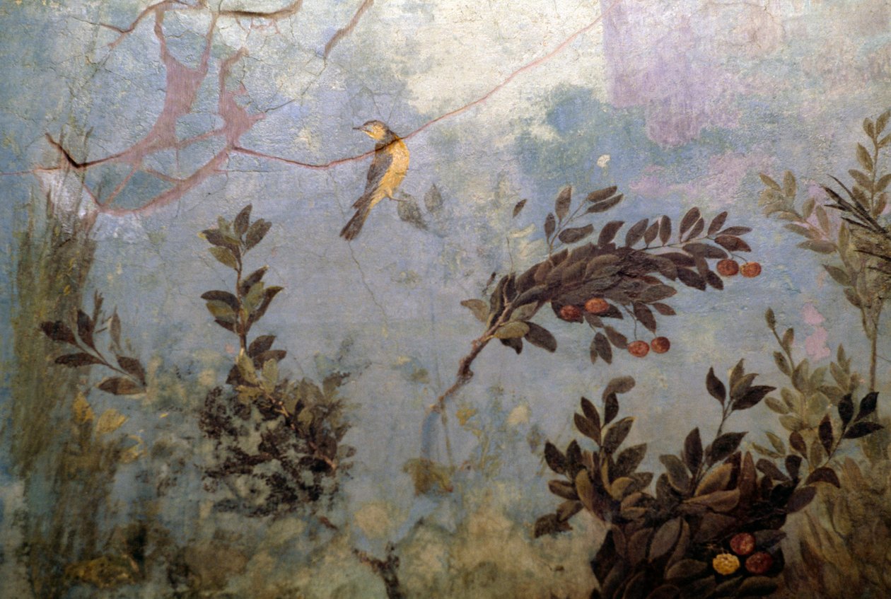 Oiseau, détail d